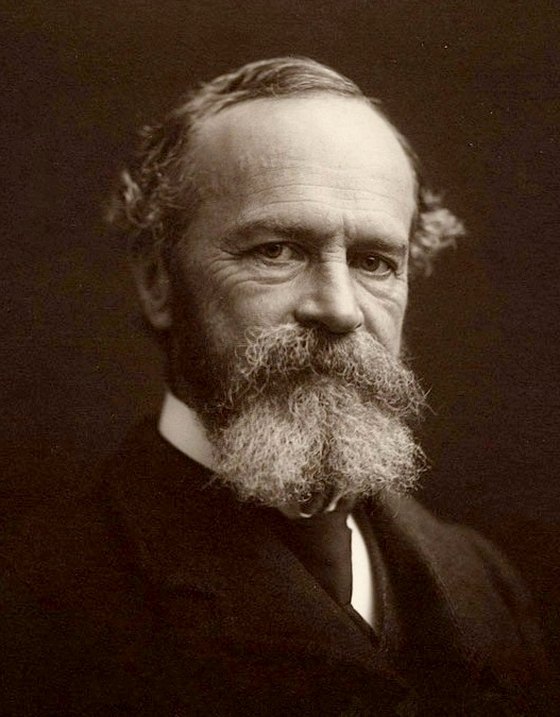 William James, American psychologist and philosopher, 1842–1910